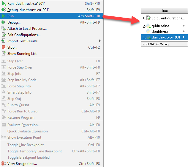 ../_images/pycharm_run_configuration.png